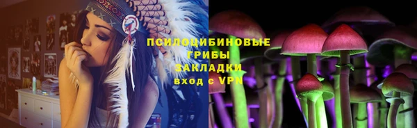 хмурый Куйбышев