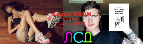 сатива Кукмор