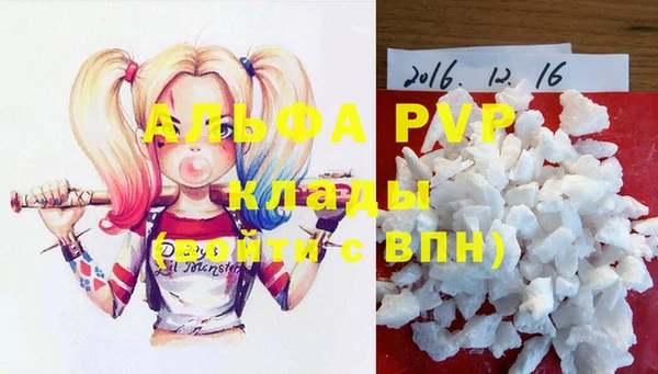 сатива Кукмор