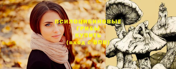 хмурый Куйбышев