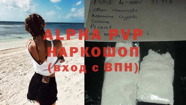 сатива Кукмор
