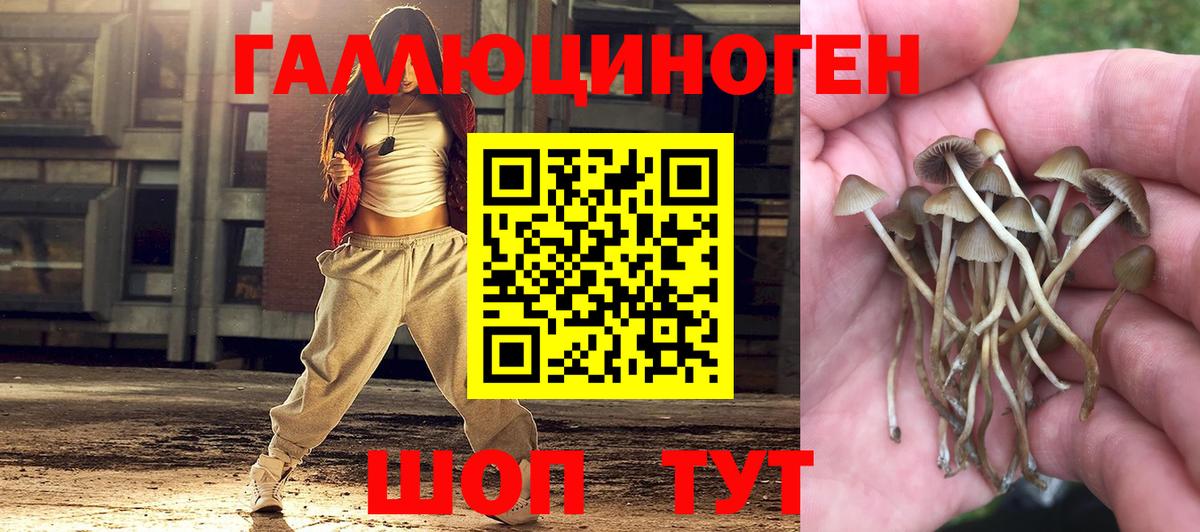 Галлюциногенные грибы ЛСД Владимир