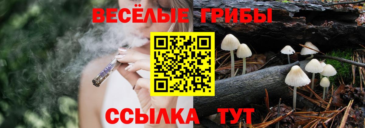 ТГК Владимир