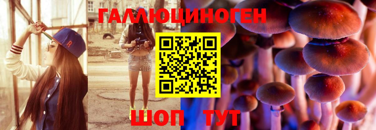 Псилоцибиновые грибы Psilocybine cubensis  Вход с VPN  Владимир 